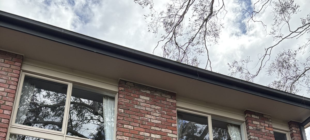 Clean windows — Flynn's Home Maintenance