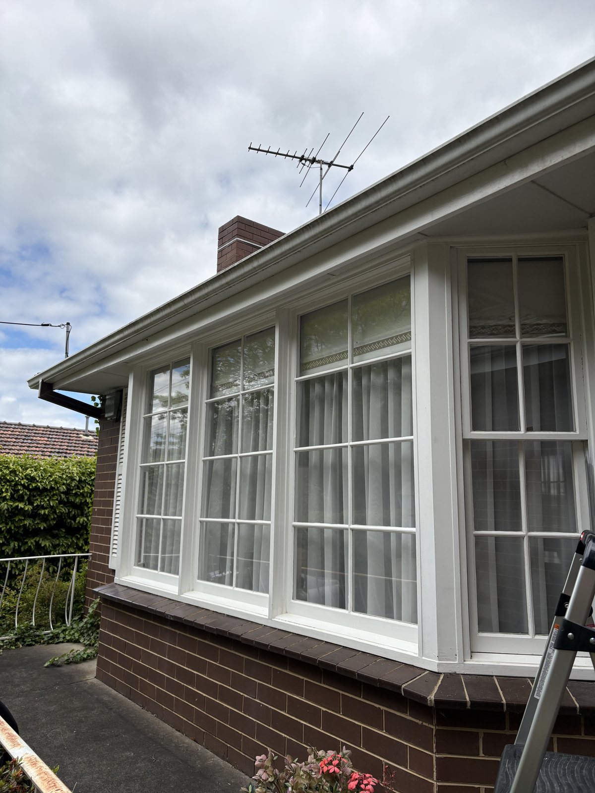 White-framed windows — sparkling result