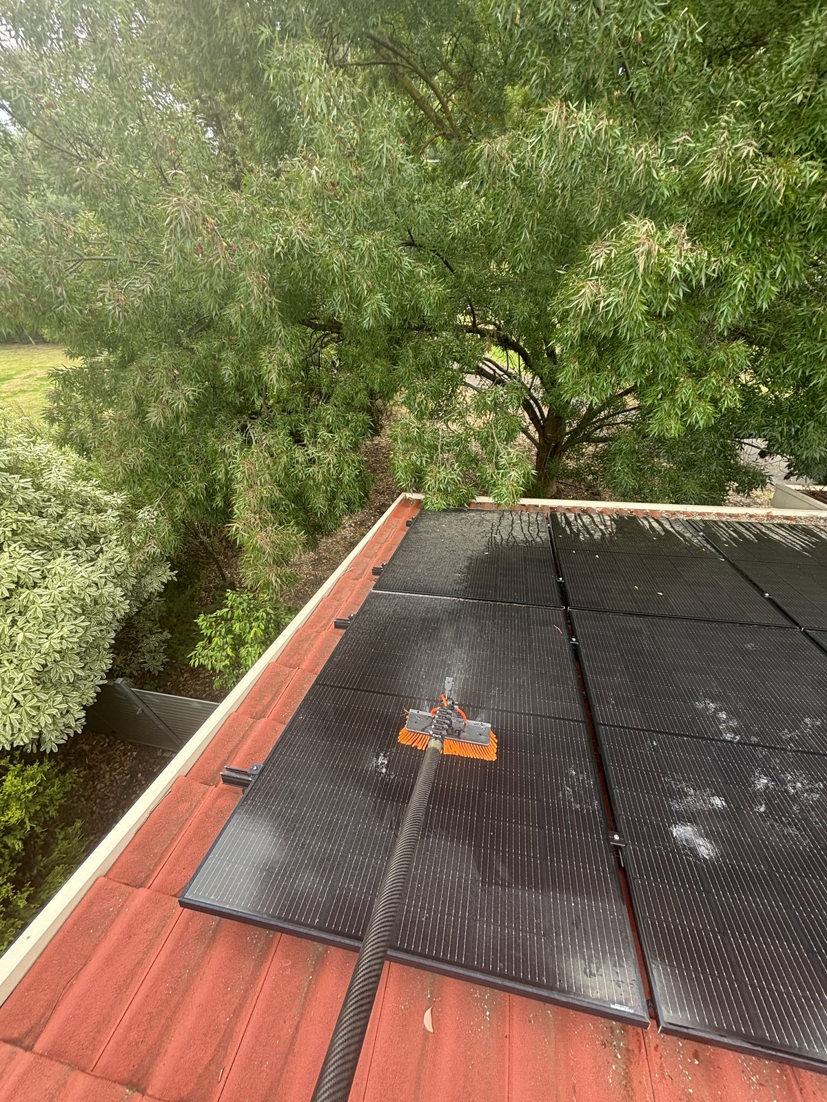 Solar panel cleaning